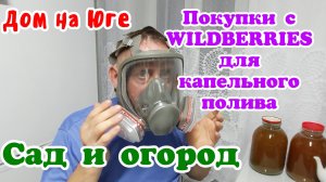 Дом на Юге. Наш виноград, сорта. Последствия заморозков.Покупки с Вайлдберриз для капельного полива.