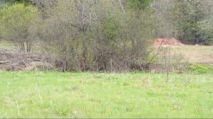 Наша земля в Низовке