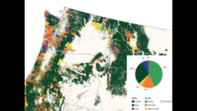 Conversion: Keeping forest as forest