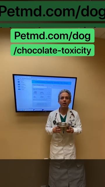 Chocolate Toxicity ! смотреть онлайн