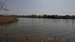 Рыбалка на щуку на Ростовском море