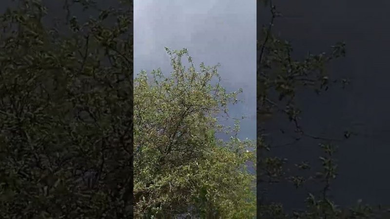 Первый гром ⛈️