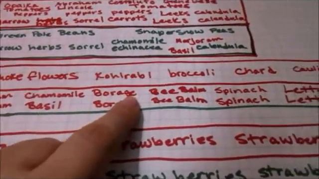 2016 Garden Planning--Layout Design смотреть онлайн