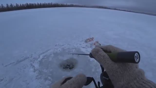 Рыбалка по первому льду. СТЫНЕТ КРОВЬ ОТ ТАКОЙ РЫБАЛКИ!! БЕЗУМНЫЙ КЛЁВ КРУПНЯКА и жареные караси!
