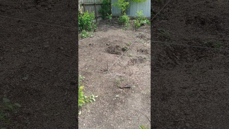 Трактор приехал, наконец-то