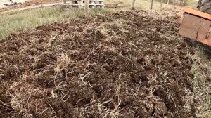 Культивирование  огорода трактором. Пробуем почвофрезу по целине.