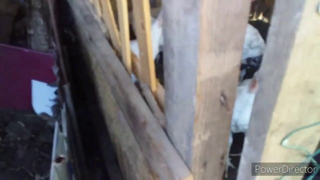 Дом на Юге//Куры//Индюки//Утята,Цыплята//Обзор Хозяйства// смотреть онлайн