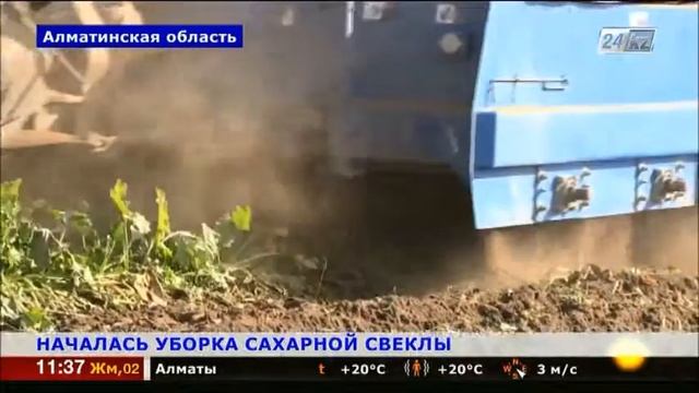 5 НАЧАЛАСЬ УБОРКА САХАРНОЙ СВЕКЛЫ смотреть онлайн