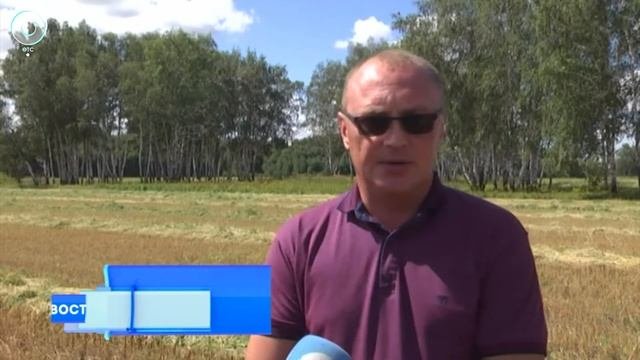 Вышли в лидеры. Аграрии хозяйства 