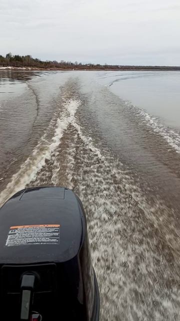 Лодочный мотор Тохатсу 9.8лодка казанка.#shorts смотреть онлайн