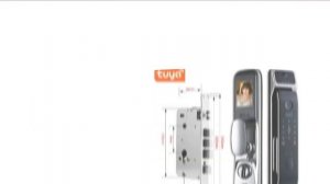 Tuya Smart 3D Face Door Lock 2023