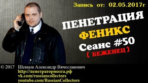 Пенетратор Коллекторов (ФЕНИКС #24) Беженец - Российские Коллекторы