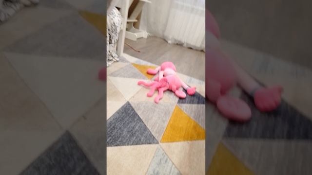 1000003277.mp4