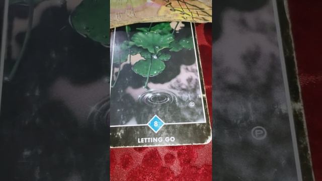 Ishwar ke Divya sandesh aapke liye 😇 universe messages 🌠 Angel guidance 🙏 Timeless tarot reading 🔮 смотреть онлайн