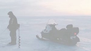 Налим на Онеге.Ловля в марте 2024 года.