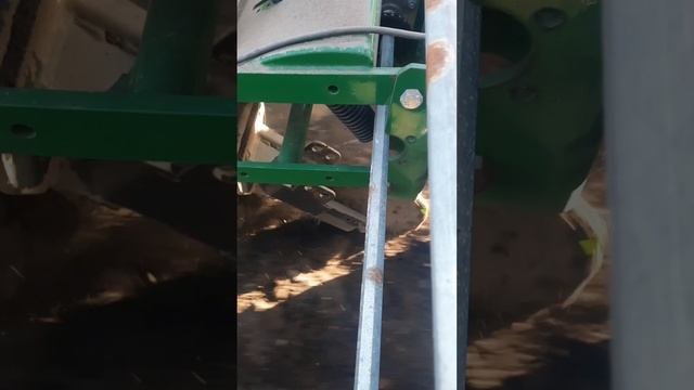 Посев подсолнечника