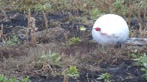 Арбалет XB-52 , стрельба на дистанцию 40 м бродхедом