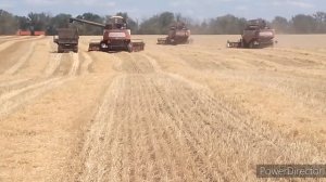 Уборка урожая в Ростовской области