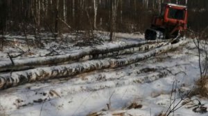 Дт 75 в лесу. Трактора.