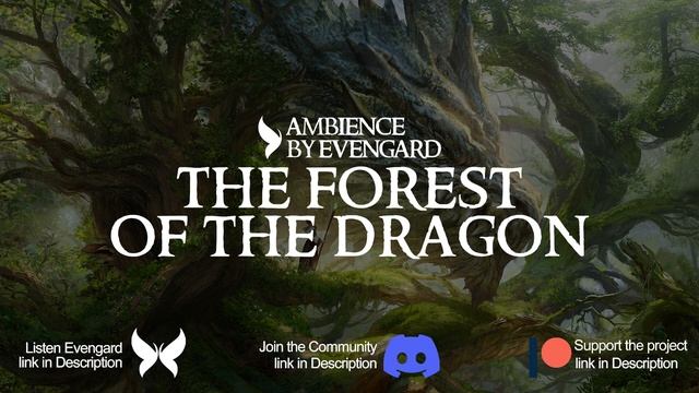 The Forest of The Dragon | Ambience Peaceful and Nature for D&D by Evengard смотреть онлайн