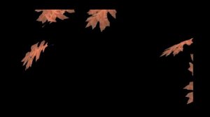 Футажи Осенние листья