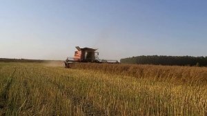 Case IH Axial-Flow 8250 и жатка MacDon  - это успех!