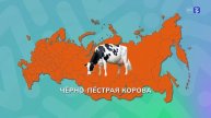 Видеоролик о среде и отрасли 6-7 класс Россия мои горизонты 24 апреля 2025