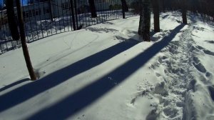 прогулка
