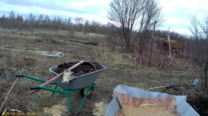 1 посадка брусники и клюквы