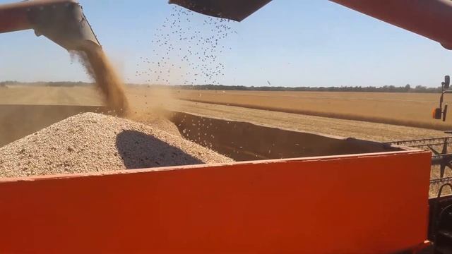 уборка смотреть онлайн