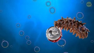 Мегалодон когда-то правил океанами, но только не возле Антарктиды