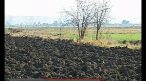 Как развить свекловодство