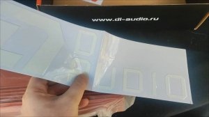 DL AUDIO RAVEN 4*220