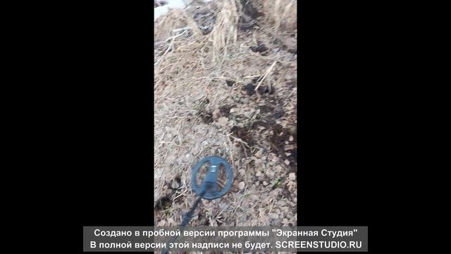 Первый металлокоп 2025. Хороший результат.