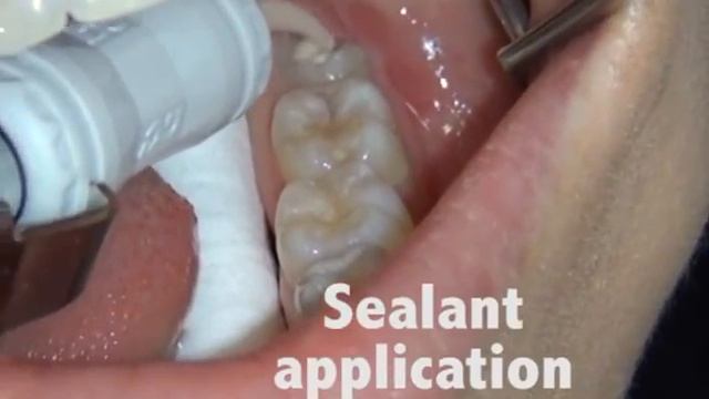 FUJI 7 смотреть онлайн