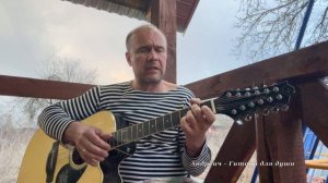 Роза - М. Круг кавер (исп. Андреич на 12 струнной гитаре)