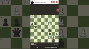 vorzel chess cat ворзель