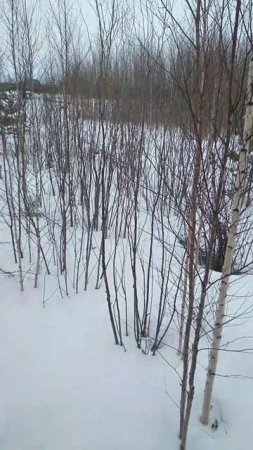 Весна по расписанию, зима по факту