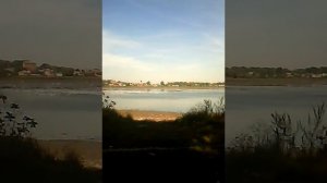 м Городок .Осушение пруда для вылова рыбы .Пир для чаек