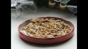 Проращивание ржи