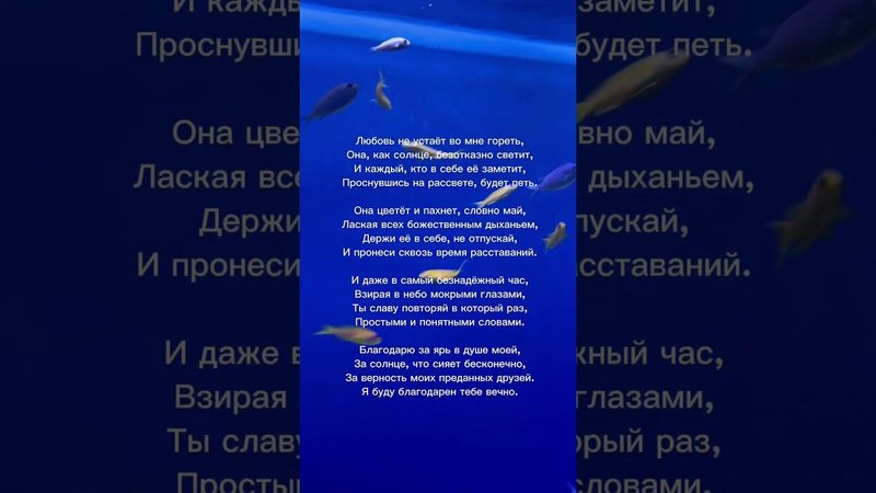 Найти любовь