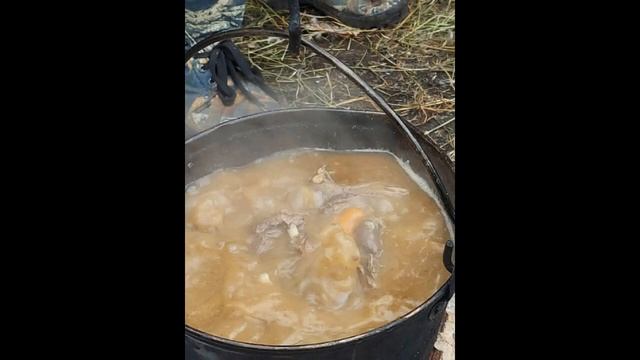 Сезон охоты август 2021 год. Утки не пострадали. #охота #природа #озеро #томскаяобласть смотреть онлайн