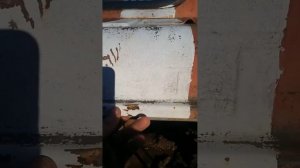 Покупаю кабину газ 66 для своей машины