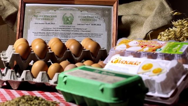птицефабрика "Октябрьская" - экология смотреть онлайн