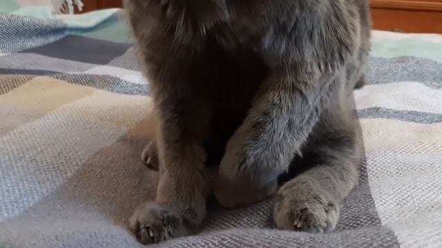 И снова эта уборка смотреть онлайн