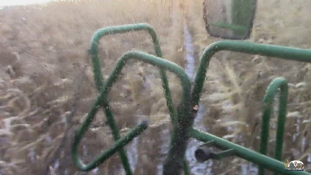 Поздняя уборка кукурузы под снегом!Порвало цепь елеватора!Комбайн John Deere 1570!Moldova смотреть онлайн