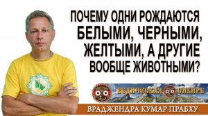 Почему одни рождаются белыми, черными, желтыми, а другие вообще животными?