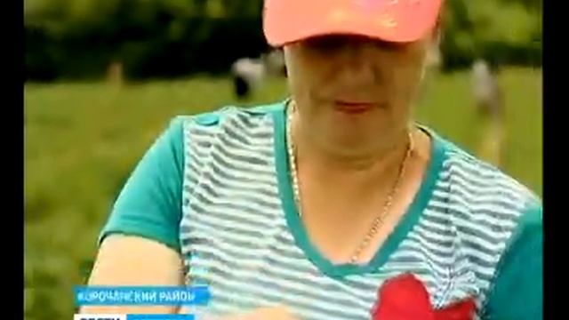 Сладкой земляникой белгородцев накормят корочанские аграрии смотреть онлайн