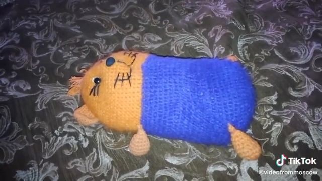 игорьшоу 0313 Пончик после стрима. Он устал и передаёт всем привет.