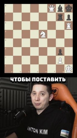 🧩 Найдёте мат в 2 хода за 15 минут?